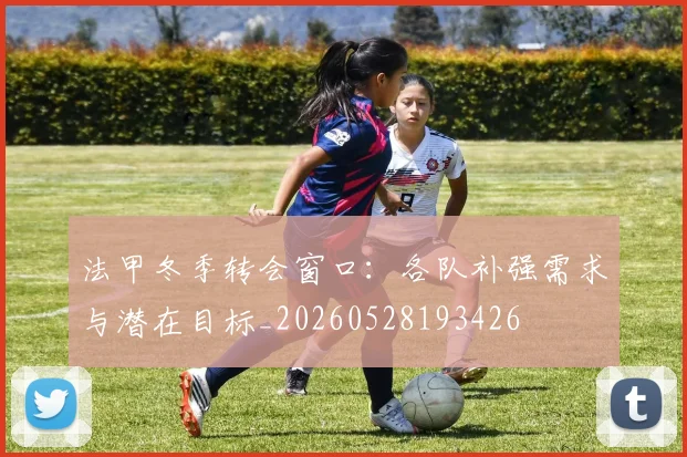 法甲冬季转会窗口：各队补强需求与潜在目标_20260528193426